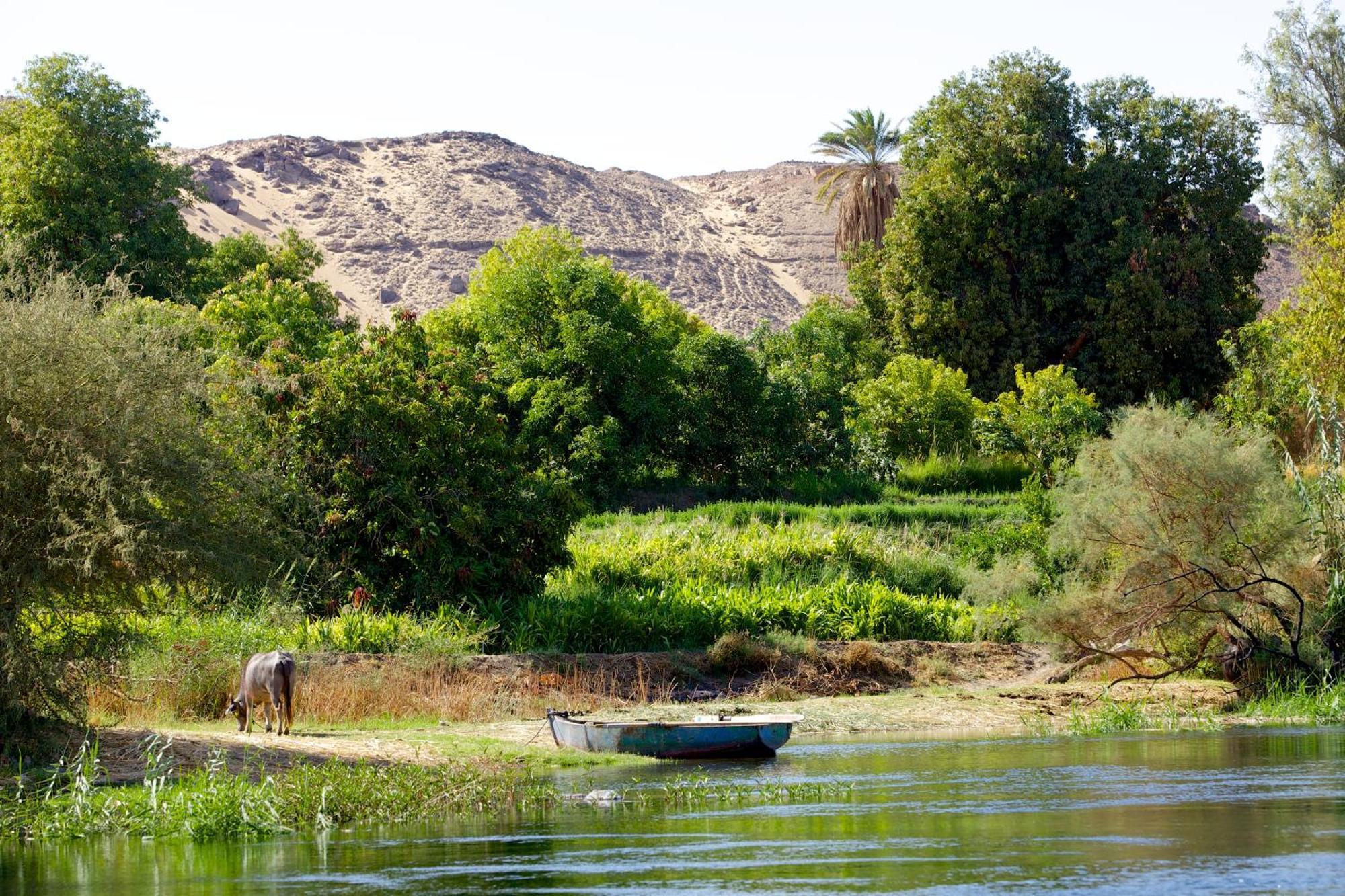 Hadouta Masreya Nubian Guest House Aswan Zewnętrze zdjęcie
